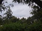 DSCF8899