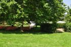 platz_02