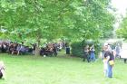 platz_10